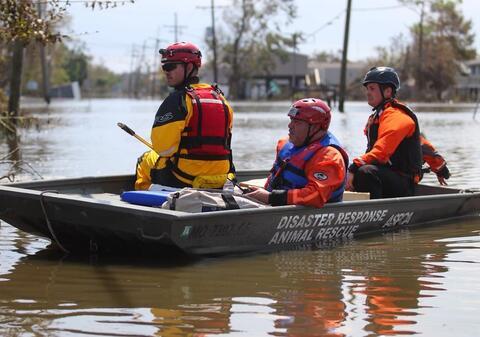 three animal welfare workers in full protective gear navigate a small boat through flooded streets