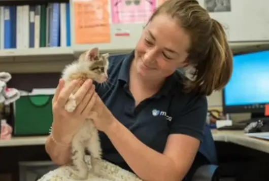 Katie Donohue with white kitten