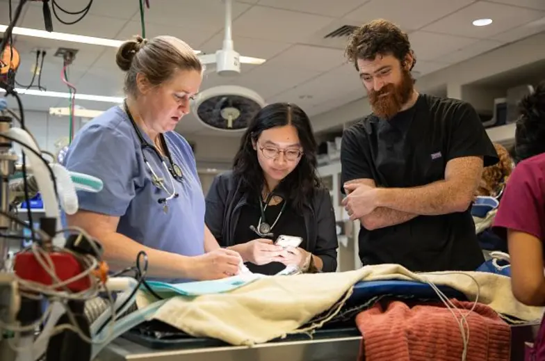 ASPCA intern in action in clinical setting