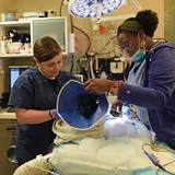 Black cat on operation table with a person in scrubs on each side