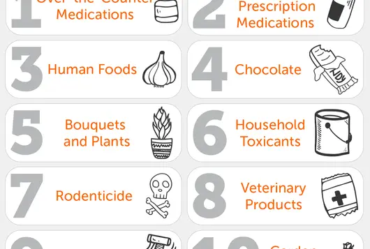 orange and gray list of top animal toxins for 2020