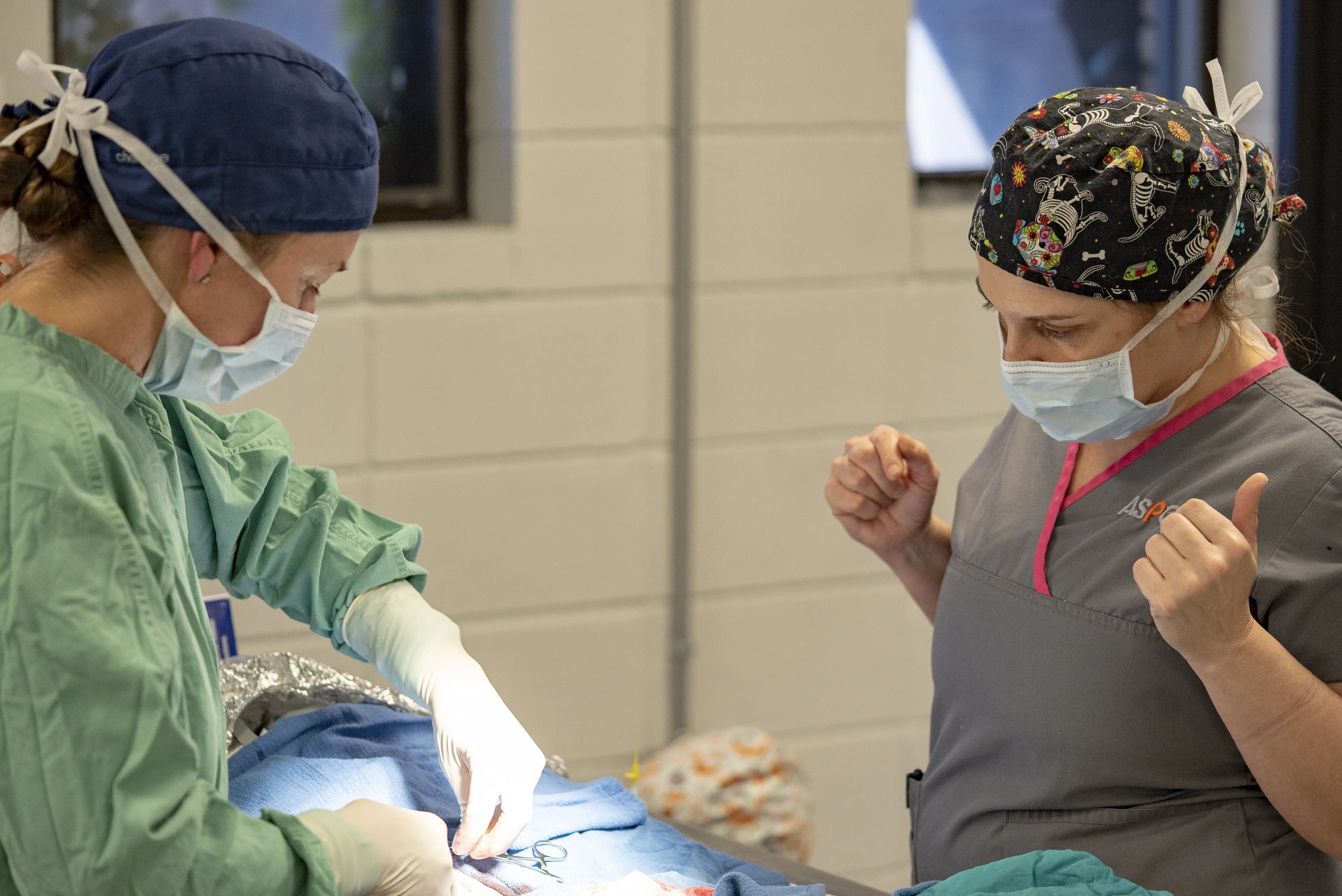 Two people in scrubs performing surgery