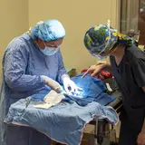 ASNA surgeon mentoring a training veterinarian