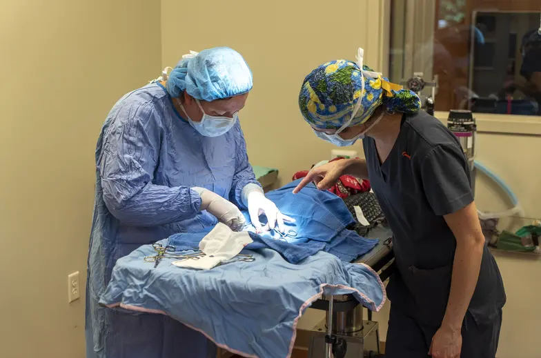 ASNA surgeon mentoring a training veterinarian