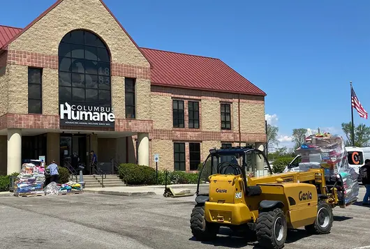 Bags of pet food for distribution