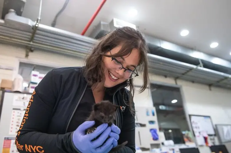 Veterinary trainees work with animals in Julie Morris program