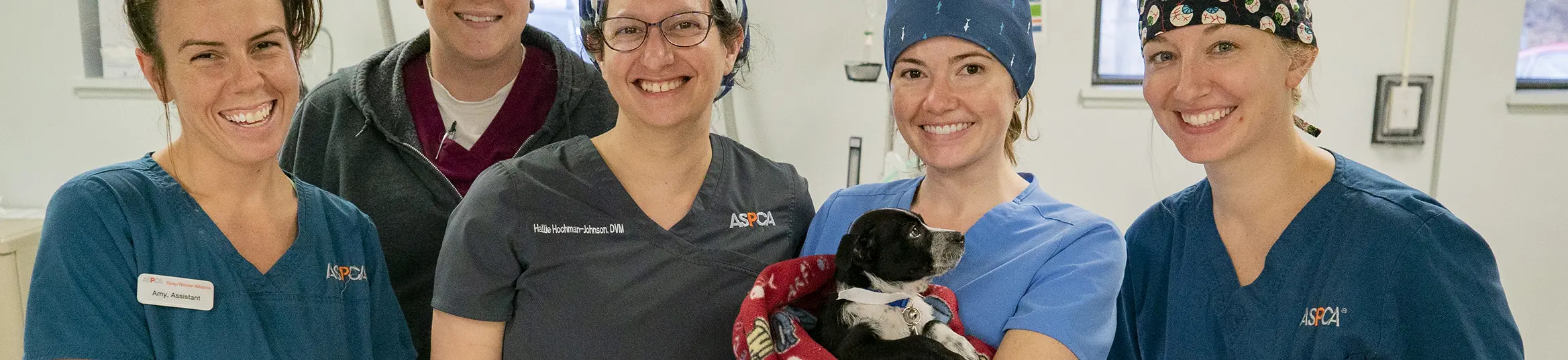 a group of 5 medical staff hold a small black and white dog in a clinic setting