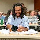 Veterinary students sit at a desk in a large room learning various animal techniques