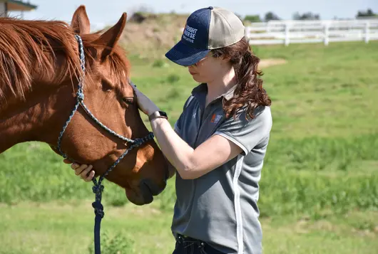 woman with a brown horse