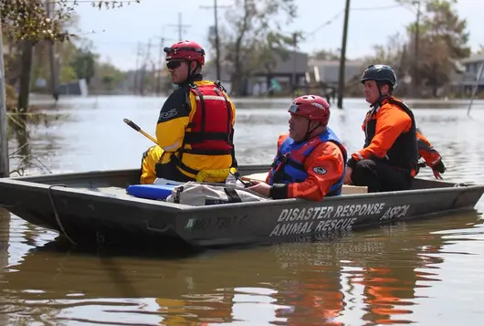 three animal welfare workers in full protective gear navigate a small boat through flooded streets