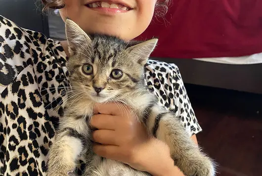 girl with kitten