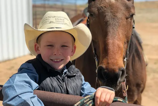 young boy at fence holding rope near brown horse