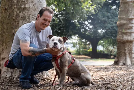 a man crouches smiling next to a tan and white pit type dog