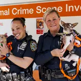 two NYPD officers holding two dogs