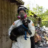 ASPCA Team member in hazmat suit holding small black dog