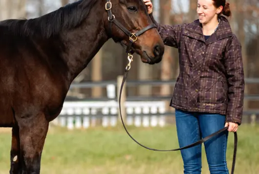 smiling woman with brown horse outdoors