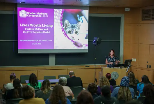 dr stephanie janeczko stands in front of an audience at the shelter medicine conference